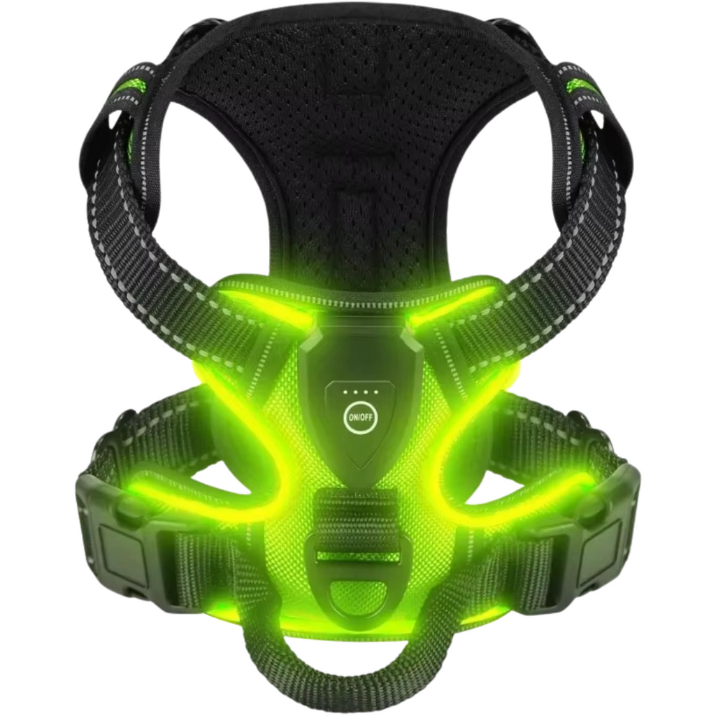Pettorina LED - CuccioLight®