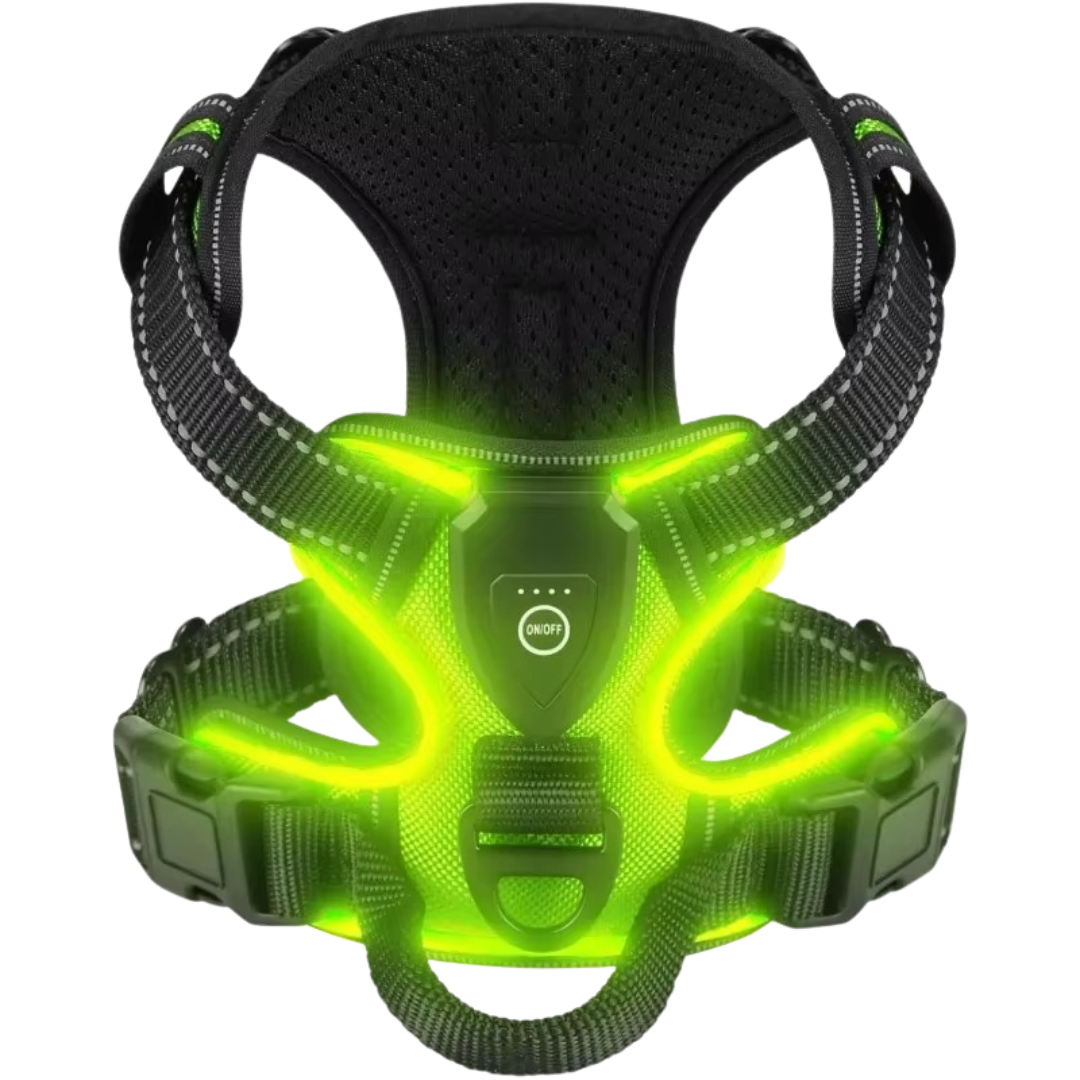 Pettorina LED - CuccioLight®