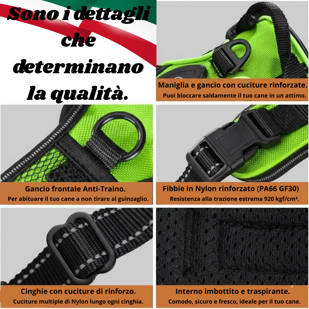 Pettorina LED - CuccioLight®