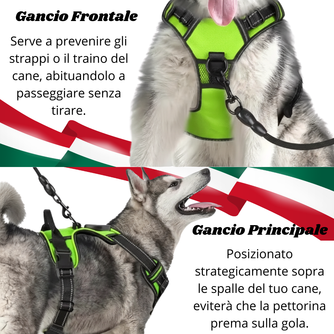 Pettorina LED - CuccioLight®