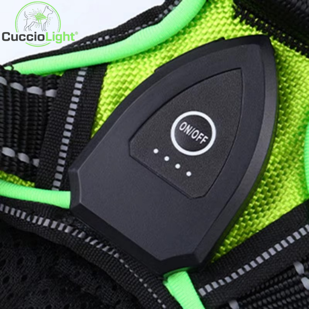 Pettorina LED - CuccioLight®