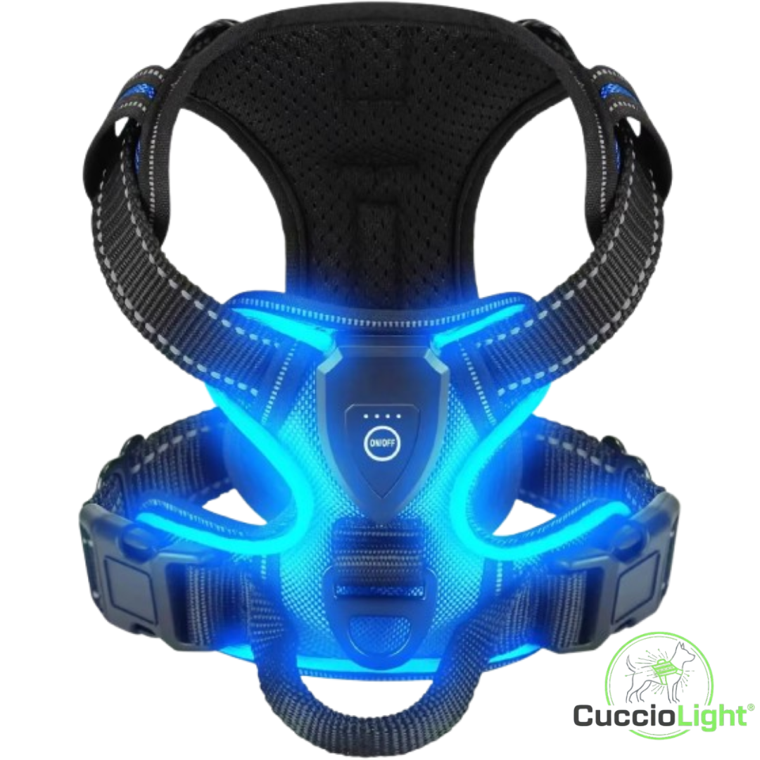 Pettorina LED - CuccioLight®