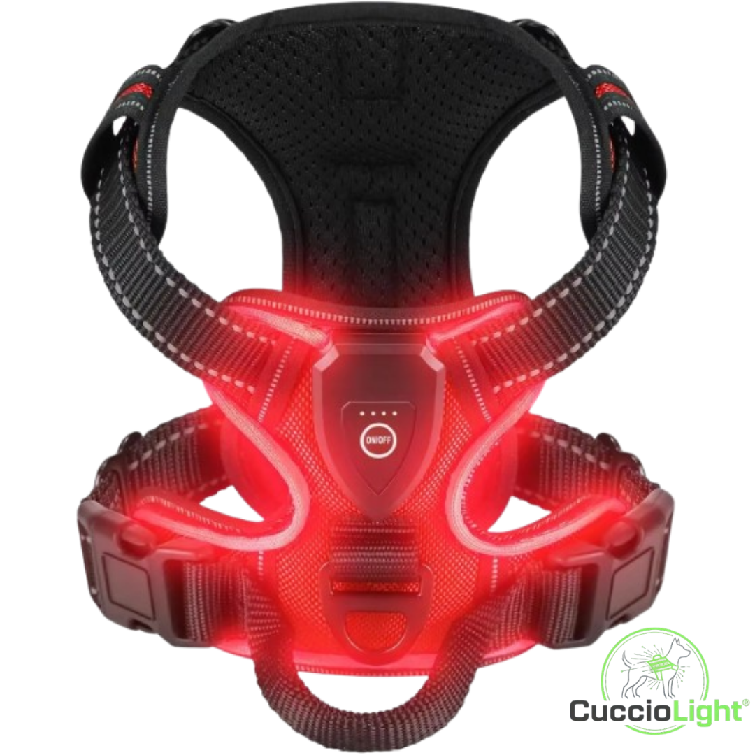 Pettorina LED - CuccioLight®
