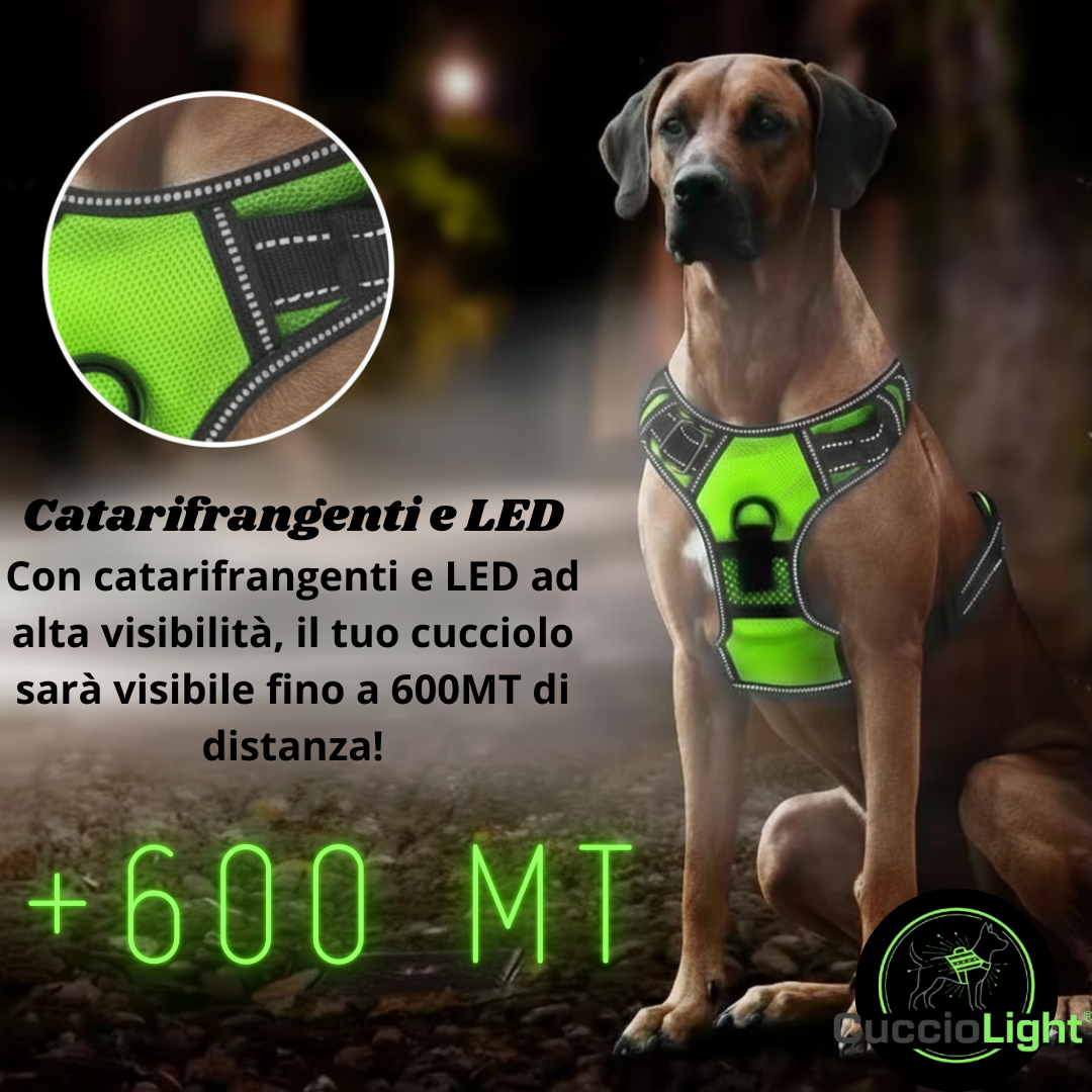 Pettorina LED - CuccioLight®