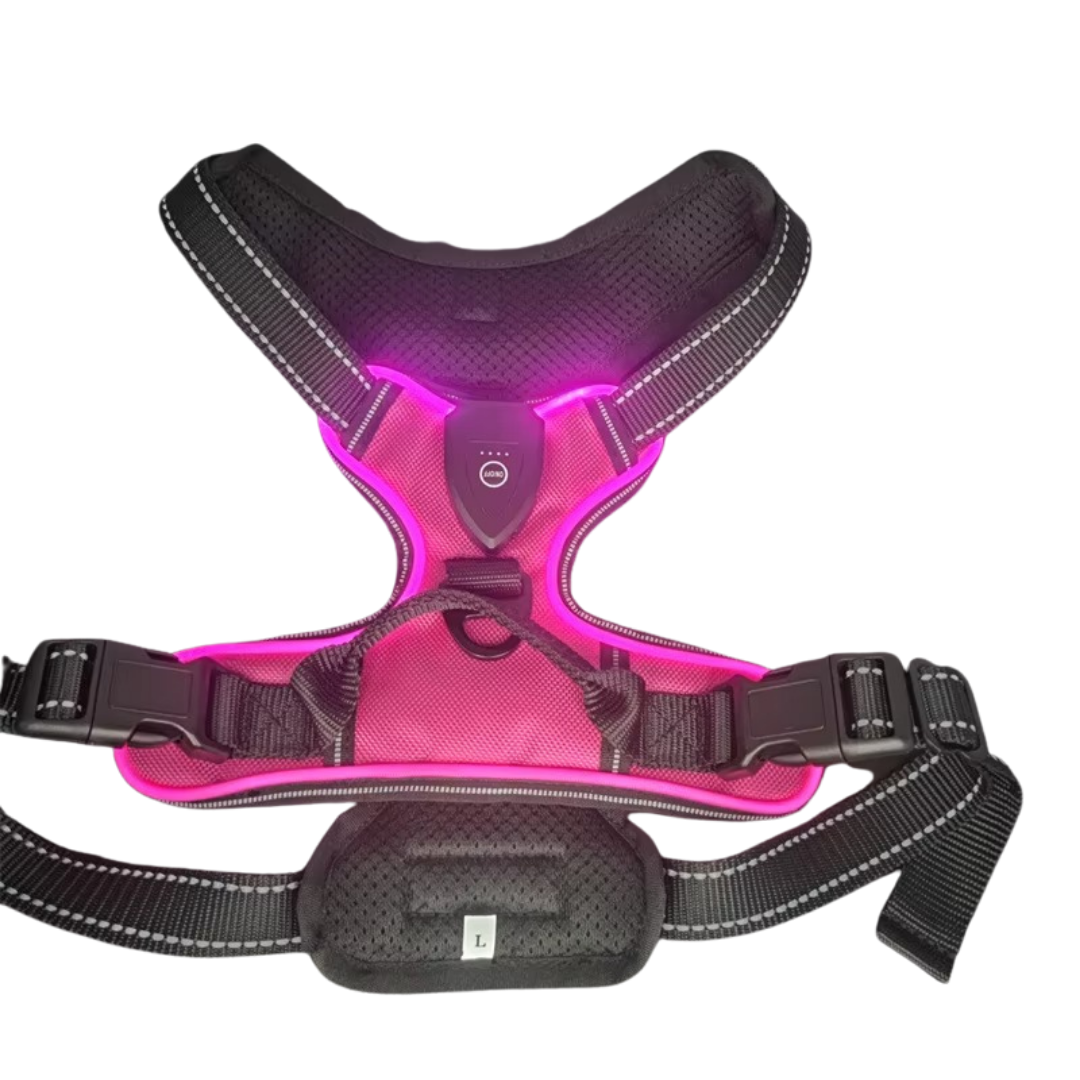 Pettorina LED - CuccioLight®